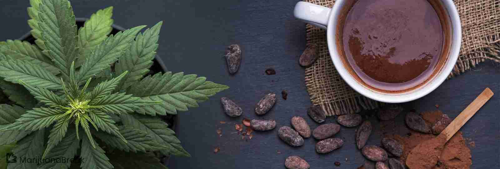 Read more about the article Best Cannabis Infused Hot Chocolate from Scratch