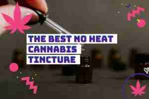 Read more about the article The Only Cannabis Tincture Recipe You Need to Learn: No Heat and High Potency!