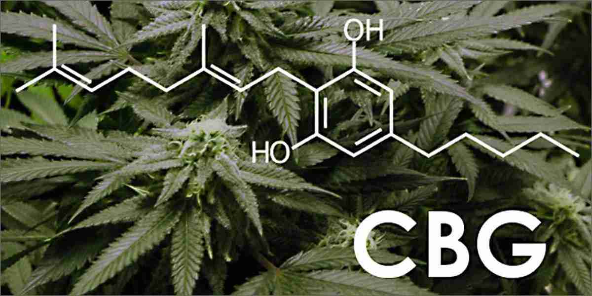Read more about the article Where to Buy the Best CBG Flower Online