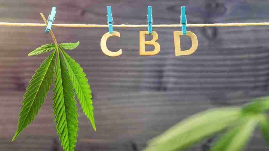 Read more about the article The Best CBD for Stress and Anxiety. Our Favorite Oils for 2020 – How Covid-19 has Increased the Need for Cannabis Products [2023]