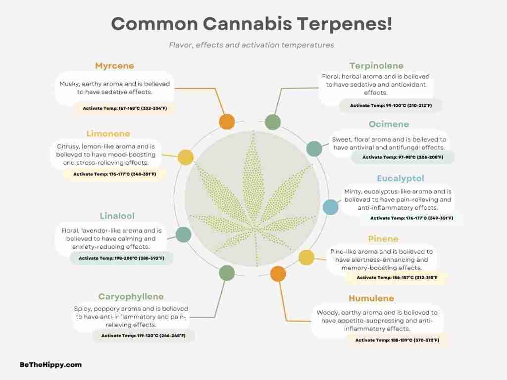 Read more about the article The Ultimate Guide to Cannabis Terpenes: Understanding Flavor Profiles, Effects on the Body and Activation Temperature