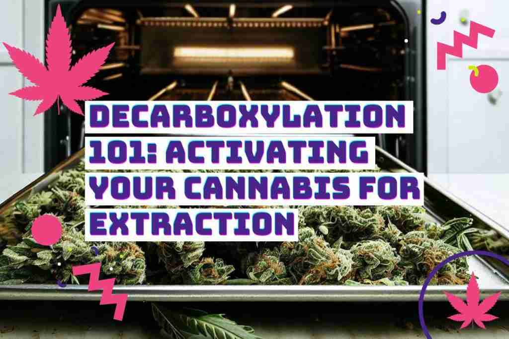 Read more about the article Decarboxylation 101: Activating Your Cannabis for Extraction