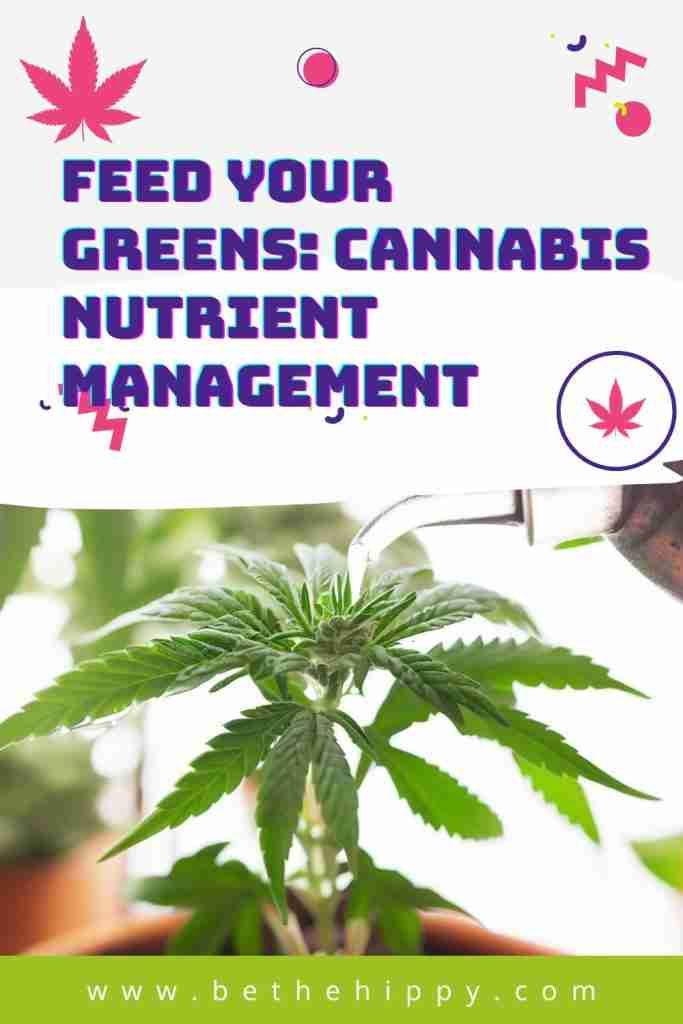 Read more about the article Feed Your Greens: A Grower’s Guide to Cannabis Nutrient Management