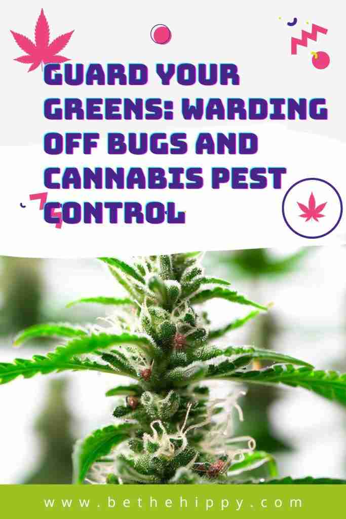 Read more about the article Guard Your Greens: Warding Off Bugs and Cannabis Pest Control