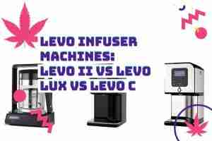Read more about the article LEVO Infuser Machines: LEVO II vs LEVO Lux vs LEVO C – Which One is Right for You?