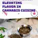 THC Seasoning Cannabis Cuisine